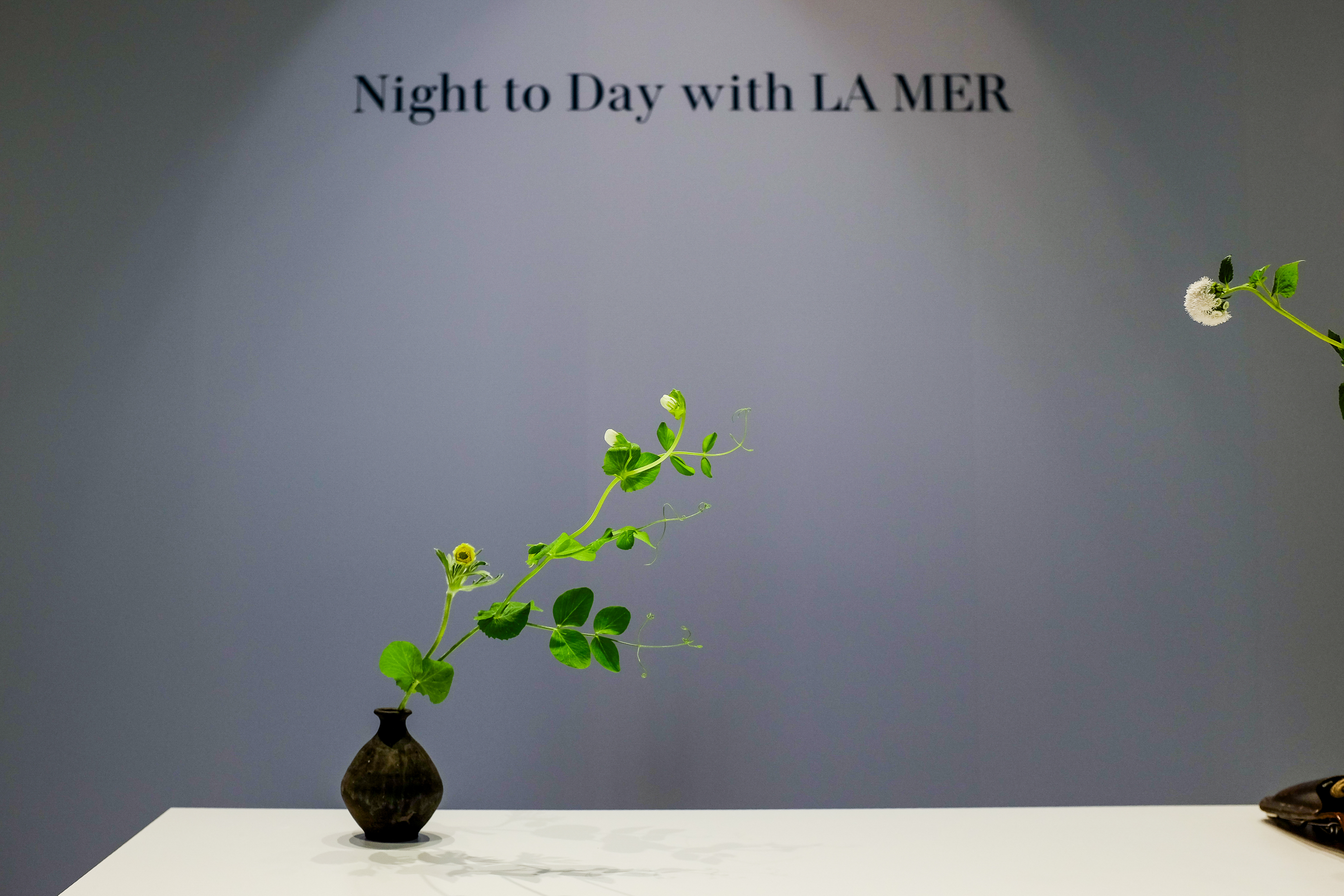 Single ikebana composition for LA MER concept display