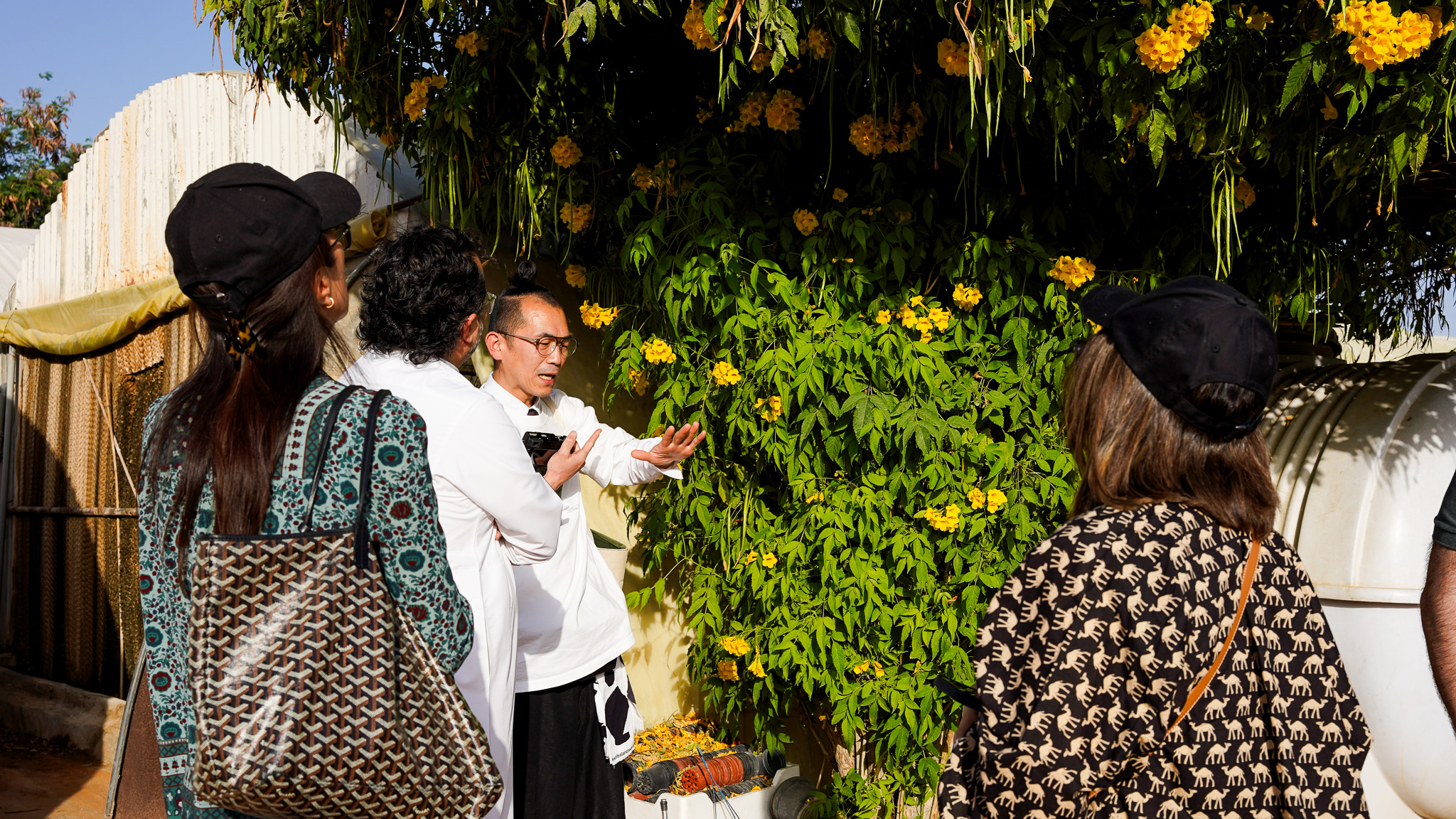 Field observation at a plant farm in Riyadh