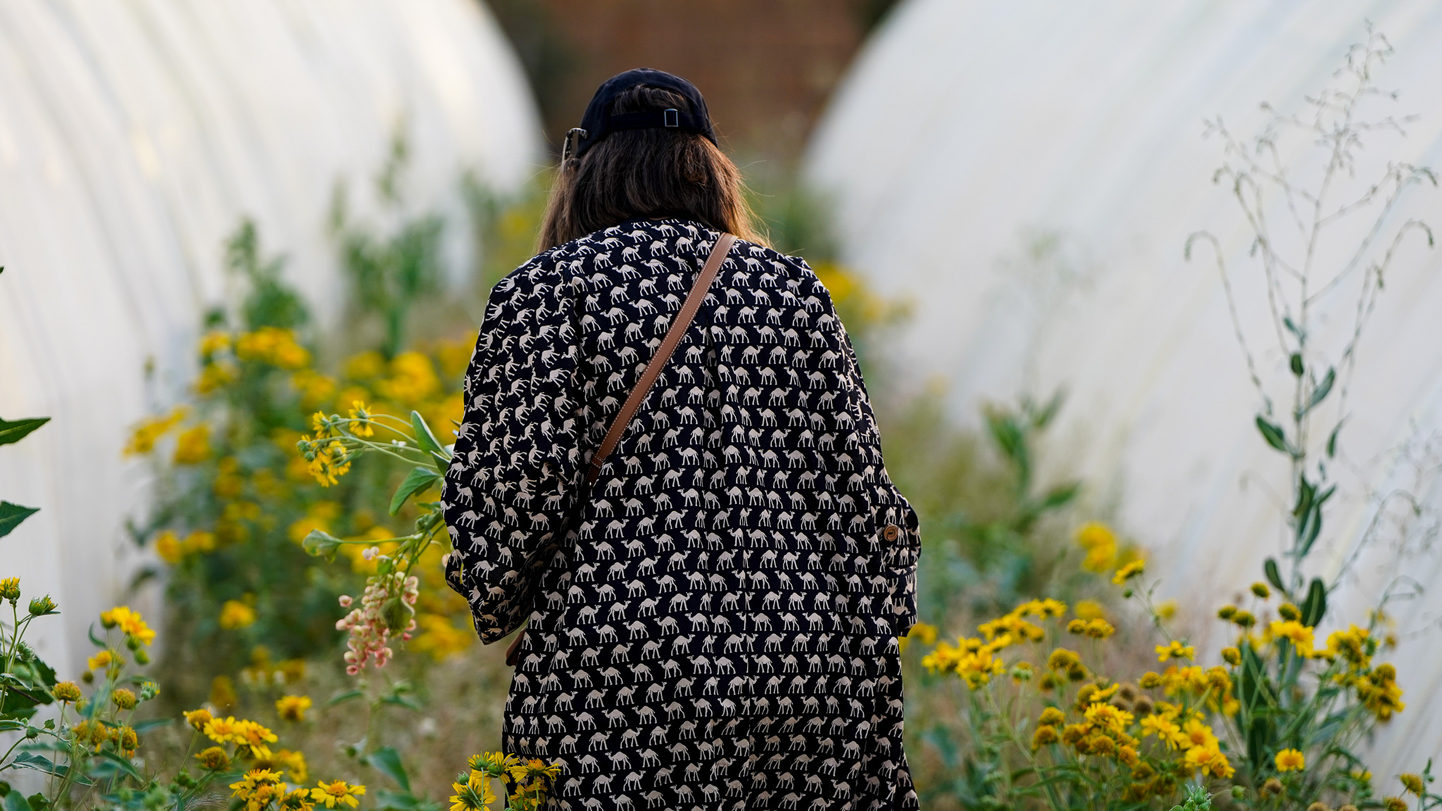 Participants observing plants in a greenhouse
