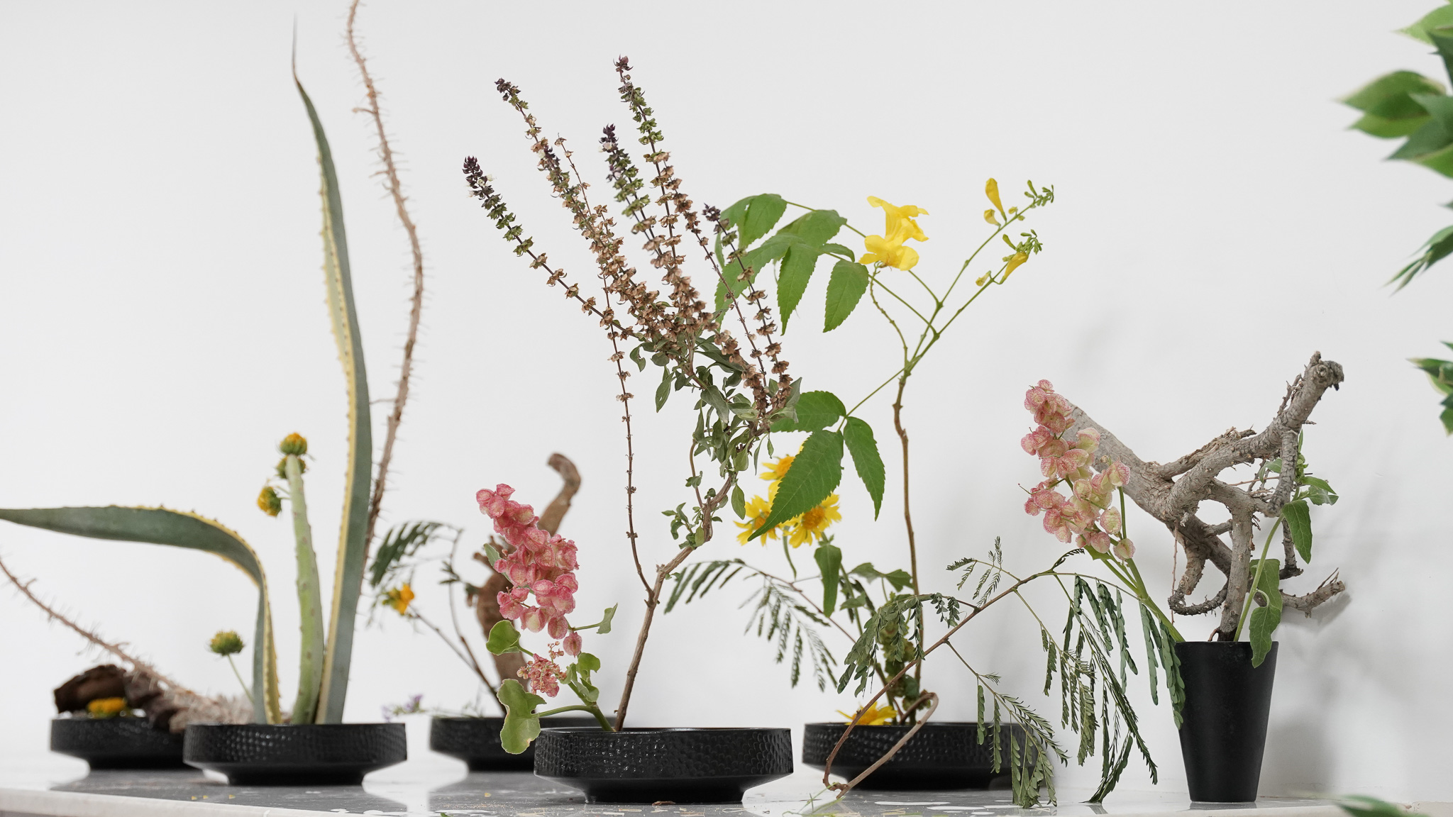 Completed ikebana works created during the cultural program